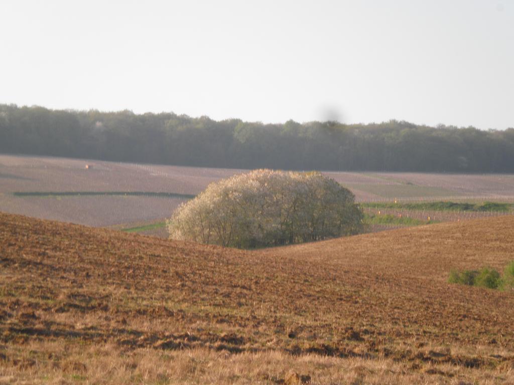 Domaine Du Moulin De L'etang Chatillon-sur-Marne