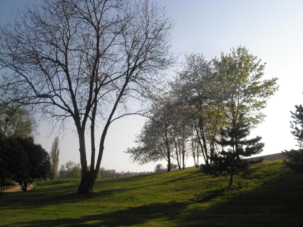 Domaine Du Moulin De L'etang Bed & Breakfast *