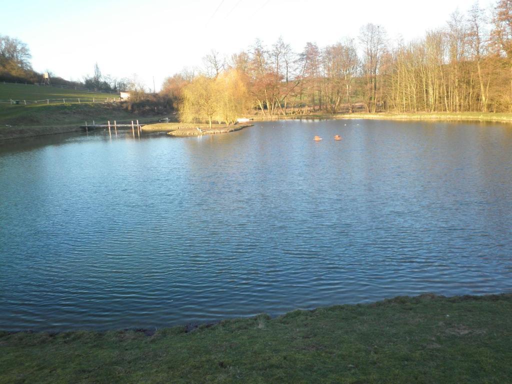 Domaine Du Moulin De L'etang Bed & Breakfast *