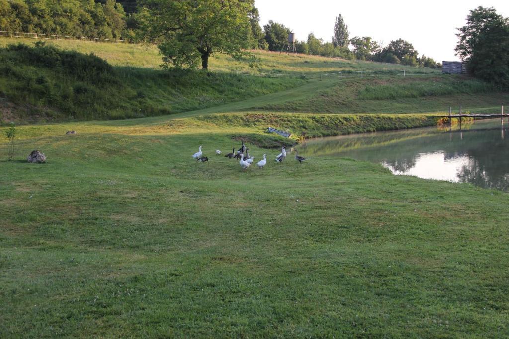 Bed & Breakfast Domaine Du Moulin De L'etang *