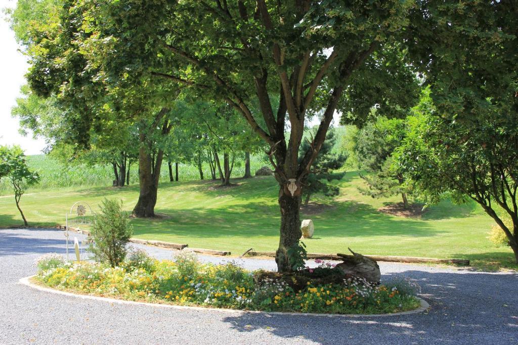 Domaine Du Moulin De L'etang Bed & Breakfast *