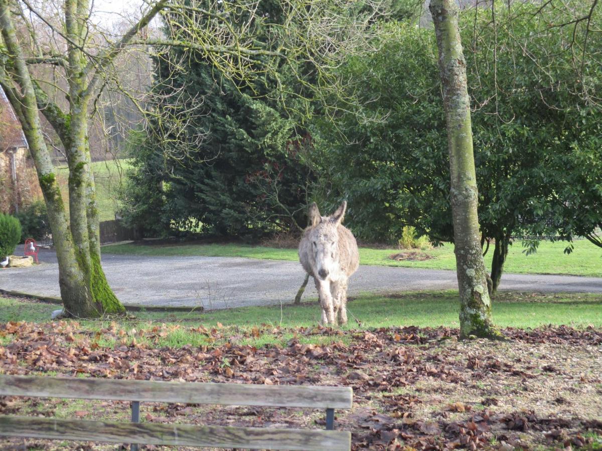 Domaine Du Moulin De L'etang Bed & Breakfast